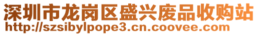 深圳市龍崗區(qū)盛興廢品收購站