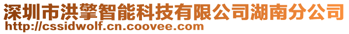 深圳市洪擎智能科技有限公司湖南分公司