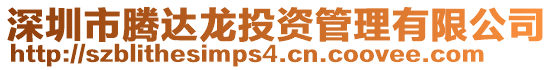 深圳市騰達龍投資管理有限公司