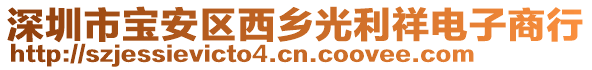 深圳市寶安區(qū)西鄉(xiāng)光利祥電子商行