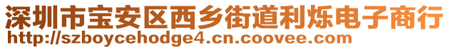 深圳市寶安區(qū)西鄉(xiāng)街道利爍電子商行