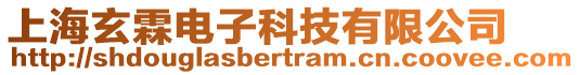 上海玄霖電子科技有限公司