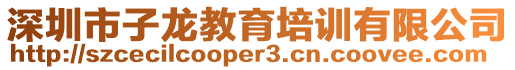 深圳市子龍教育培訓有限公司