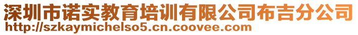 深圳市諾實教育培訓(xùn)有限公司布吉分公司