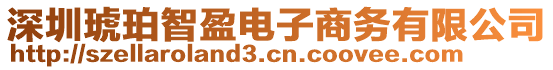 深圳琥珀智盈電子商務(wù)有限公司