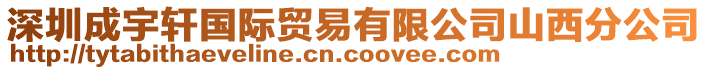 深圳成宇軒國(guó)際貿(mào)易有限公司山西分公司