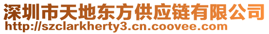 深圳市天地東方供應鏈有限公司