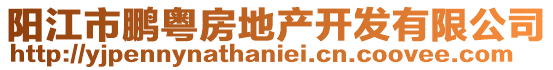 陽江市鵬粵房地產(chǎn)開發(fā)有限公司
