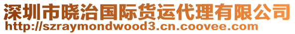 深圳市曉治國際貨運代理有限公司