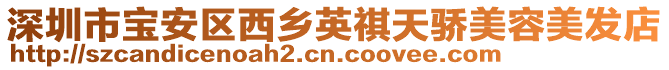 深圳市寶安區西鄉英祺天驕美容美發店