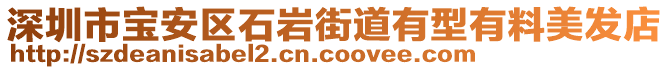 深圳市寶安區(qū)石巖街道有型有料美發(fā)店