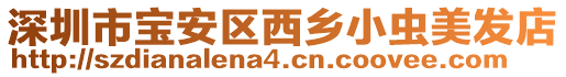 深圳市寶安區西鄉小蟲美發店