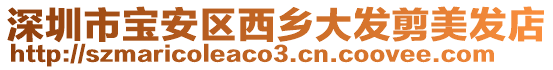深圳市寶安區西鄉大發剪美發店