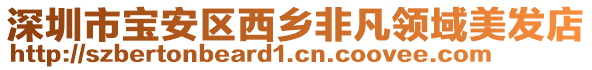 深圳市寶安區(qū)西鄉(xiāng)非凡領(lǐng)域美發(fā)店