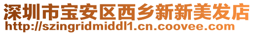 深圳市寶安區(qū)西鄉(xiāng)新新美發(fā)店