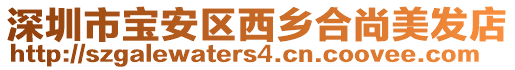 深圳市寶安區西鄉合尚美發店