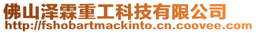 佛山澤霖重工科技有限公司