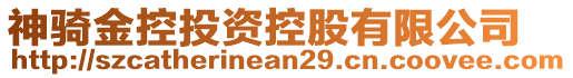 神騎金控投資控股有限公司