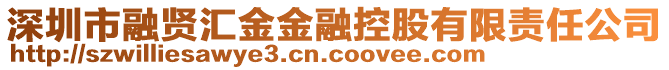 深圳市融賢匯金金融控股有限責任公司