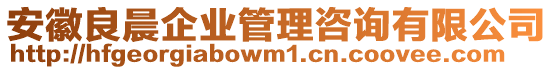 安徽良晨企業(yè)管理咨詢有限公司