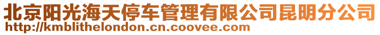 北京陽光海天停車管理有限公司昆明分公司