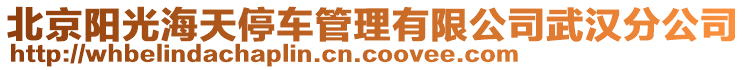 北京陽光海天停車管理有限公司武漢分公司