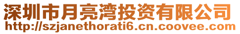 深圳市月亮灣投資有限公司