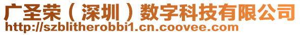廣圣榮（深圳）數字科技有限公司