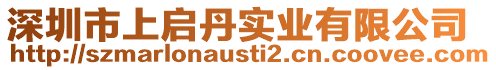 深圳市上啟丹實業有限公司