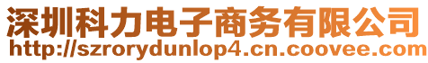 深圳科力電子商務(wù)有限公司