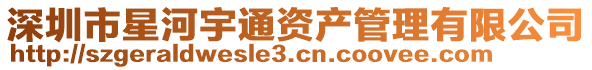 深圳市星河宇通資產管理有限公司