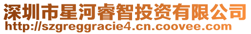 深圳市星河睿智投資有限公司