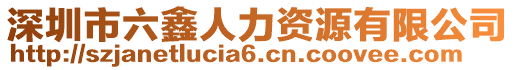 深圳市六鑫人力資源有限公司
