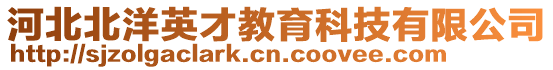 河北北洋英才教育科技有限公司