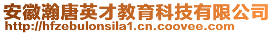安徽瀚唐英才教育科技有限公司