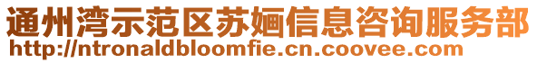 通州灣示范區(qū)蘇婳信息咨詢(xún)服務(wù)部