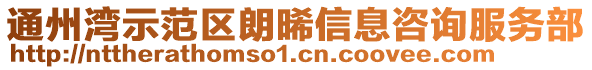 通州灣示范區朗晞信息咨詢服務部