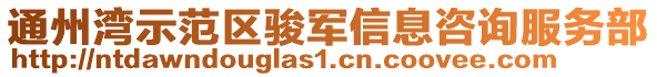通州灣示范區駿軍信息咨詢服務部