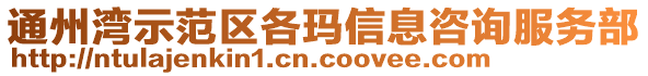 通州灣示范區各瑪信息咨詢服務部