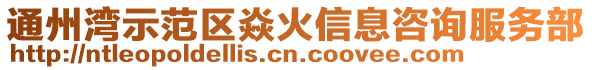 通州灣示范區焱火信息咨詢服務部