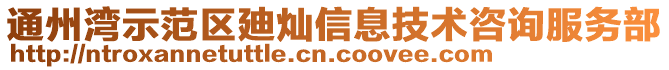 通州灣示范區廸燦信息技術咨詢服務部