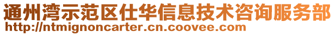 通州灣示范區仕華信息技術咨詢服務部