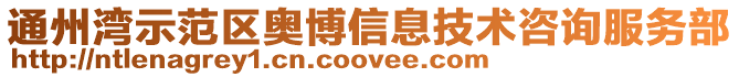通州灣示范區(qū)奧博信息技術(shù)咨詢服務(wù)部