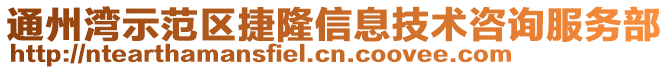 通州灣示范區(qū)捷隆信息技術(shù)咨詢服務(wù)部