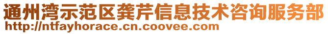通州灣示范區龔芹信息技術咨詢服務部