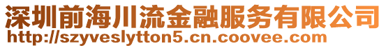 深圳前海川流金融服務有限公司