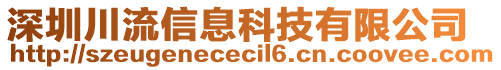 深圳川流信息科技有限公司