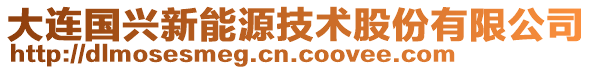 大連國興新能源技術股份有限公司