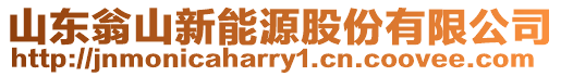 山東翁山新能源股份有限公司