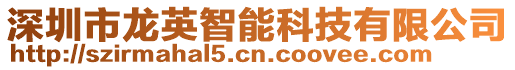 深圳市龍英智能科技有限公司